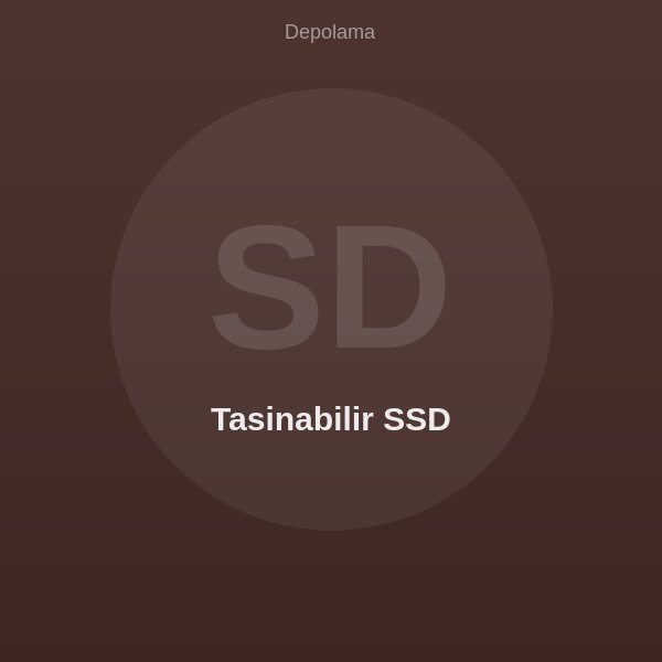 Tasinabilir SSD